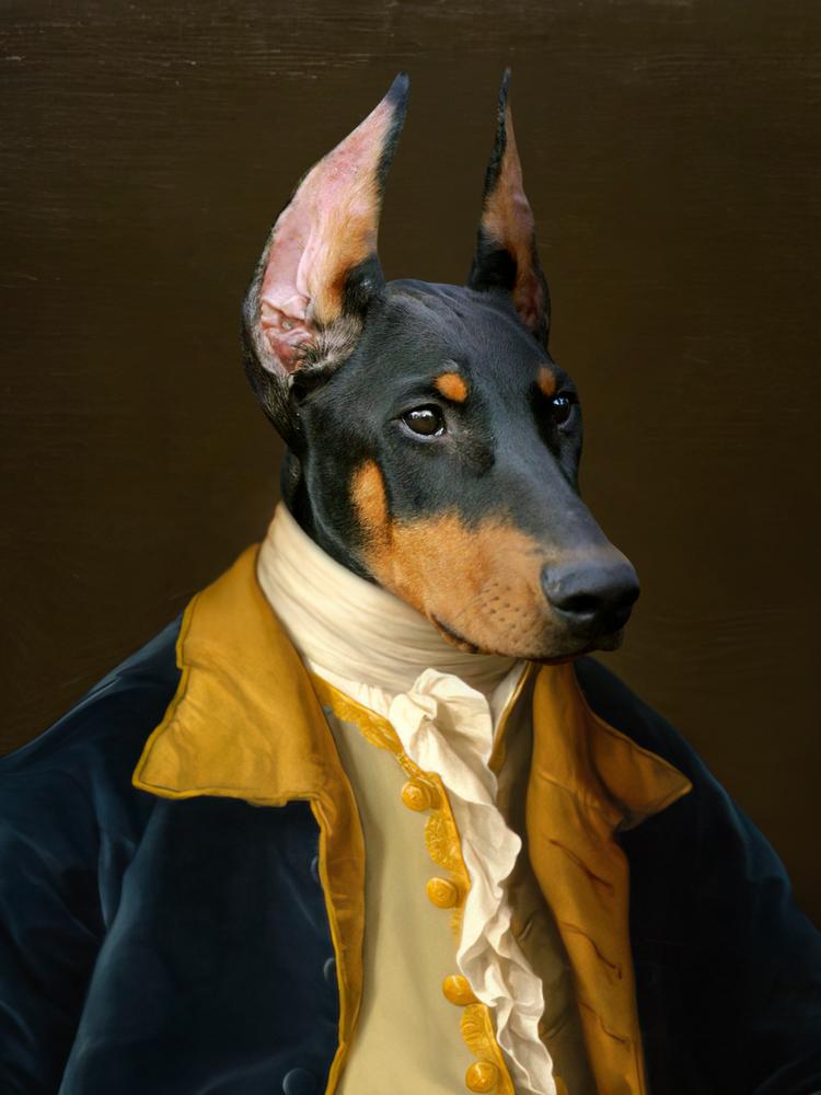 Portret pupila - personalizowany królewski obraz zwierzaka