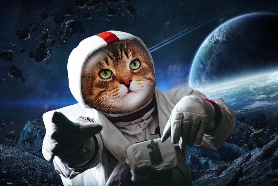 Portret pupila - personalizowany królewski obraz zwierzaka - Homy Post